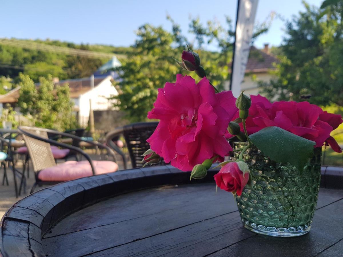 Antaloczy Cottage Tokaj Luaran gambar